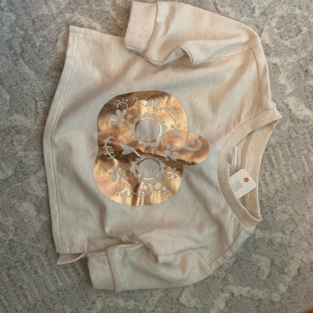 Gymboree Pumpkin Sweatshirt